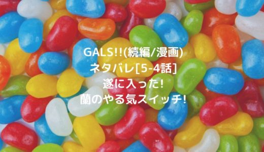 GALS!!(続編/漫画)ネタバレ[5-4話]遂に入った!蘭のやる気スイッチ!