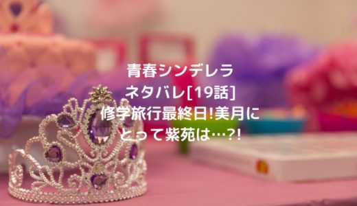 青春シンデレラネタバレ[19話]修学旅行最終日!美月にとって紫苑は…?!