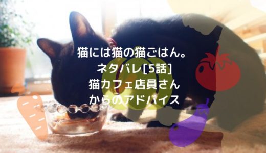 猫には猫の猫ごはん ネタバレ 5話 猫カフェ店員さんからのアドバイス ショウジョマンガマニアック