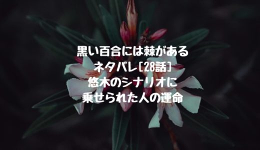 旦那さまはだぁれ ネタバレ 11話 陸と過ごす夜は何かが起きる予感 ショウジョマンガマニアック