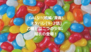 GALS!!(続編/漫画)ネタバレ[9-2話]乙幡と瓜二つの少年・瑠衣の登場！